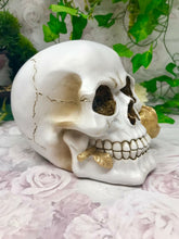 Load image into Gallery viewer, Novelty Skull with Gold Rose Ornament Figure Skulls Collection Sculpture Gothic-OsirisTradingUK