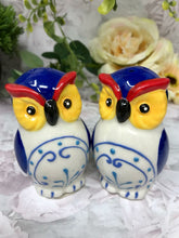 Load image into Gallery viewer, Novelty Ceramic Owls Salt and Pepper Shakers