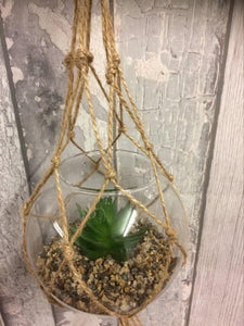Artificial Hanging Glass Planter Succulent Cactus Plant Home Decor Cacti
