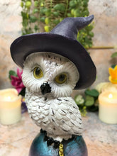 Charger l'image dans la galerie, Comical Mystical Owl Sculpture Figurine Home Decoration Statue Owls Collectables-OsirisTradingUK