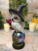 Charger l'image dans la galerie, Comical Mystical Owl Sculpture Figurine Home Decoration Statue Owls Collectables-OsirisTradingUK