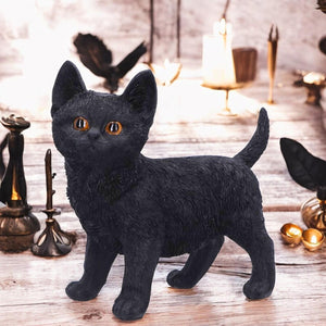 Charmed Companion Black Cat Figurine – 20cm Enchanting Animal Decor