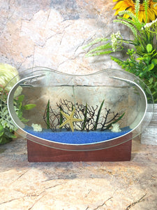 Sea Themed Starfish Gel Glass Candle on Wooden Stand - 23 cm x 16.5 cm - Nautical Home Decor, Coastal Ambiance-OsirisTradingUK