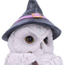 Load image into Gallery viewer, Owl Potion Figurine Witchcraft Halloween Gothic Fantasy Ornament Home Decor
