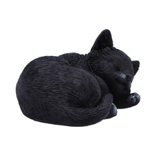 Laden Sie das Bild in den Galerie-Viewer, Sleeping Black Cat Statue Feline Figurine Witchcraft Gothic Wiccan Collectable Art
