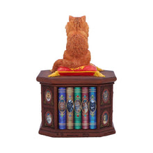 Load image into Gallery viewer, Mad About Cats Storage Box Bookcase Figurine Wiccan Alter Fantasy Ornament
