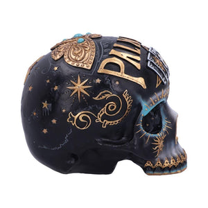 Destiny Palmistry Skull 18cm | Mystical Occult Decor | Resin Palmistry Head | Exclusive Design