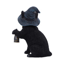 Load image into Gallery viewer, Fantasy Witch Cat Figurine Gothic Cat Familiar Lantern &amp; Skull Necklace Statue
