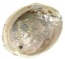 Load image into Gallery viewer, Abalone Shell
