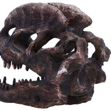 Laden Sie das Bild in den Galerie-Viewer, Dilophosaurus Dinosaur Skull Replica Realistic Resin Fossil Model Jurassic Fossil
