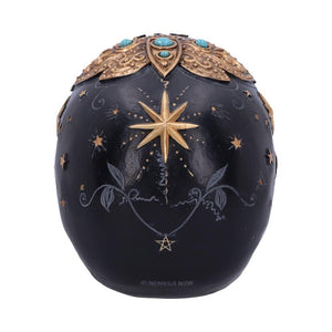 Destiny Palmistry Skull 18cm | Mystical Occult Decor | Resin Palmistry Head | Exclusive Design