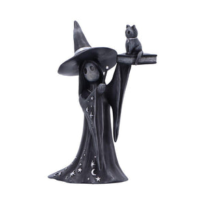 Little Souls Shimmer Witch Figurine Cat Spell book Gothic Altar Wiccan Art  Decor