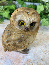 Load image into Gallery viewer, Adorable Baby Owl Resin Garden Ornament Lawn Decoration Patio Decor-OsirisTradingUK
