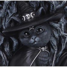 Load image into Gallery viewer, Cult Cuties Snow Globe Gothic Cat Witch Pentagram Occult Ornament Collectibles
