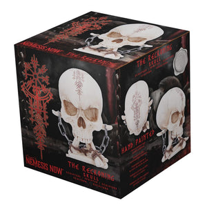 Gothic Viking Nordic Rune Skull Ornament with Bone & Chain Decor Horror Statue