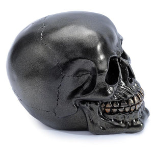 Occult Black Skull Sculpture - Gothic Halloween Home Decor Ornament