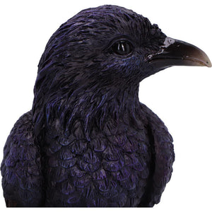 Gothic Raven Incense Burner Mystical Backflow Cone Holder Dark Halloween Art