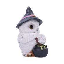 Load image into Gallery viewer, Owl Potion Figurine Witchcraft Halloween Gothic Fantasy Ornament Home Decor
