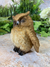 Load image into Gallery viewer, Hilarious Owl Resin Garden Ornament Home Decoration Lawn Decor-OsirisTradingUK

