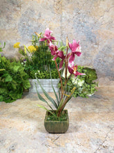 Charger l&#39;image dans la galerie, Elegant Artificial Orchids Display in 20 cm Tall Plant Pot - Lifelike Home Decor-OsirisTradingUK
