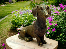 Load image into Gallery viewer, Charming Dachshund Resin Dog Statue, Lifelike Pet Sculpture, 16cm – Perfect Gift for Dog Lovers and Home Decor Enthusiasts
