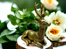 Load image into Gallery viewer, Exquisite Resin Deer Statue, Elegant Woodland Stag Figurine – Rustic Wildlife Home Decor, Perfect for Nature-Themed Spaces &amp; Animal Lovers-OsirisTradingUK
