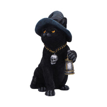 Load image into Gallery viewer, Fantasy Witch Cat Figurine Gothic Cat Familiar Lantern &amp; Skull Necklace Statue
