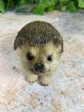 Load image into Gallery viewer, Adorable Realistic Hedgehog Figurine Perfect Garden Ornament Lawn Decor-OsirisTradingUK
