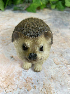 Adorable Realistic Hedgehog Figurine Perfect Garden Ornament Lawn Decor-OsirisTradingUK