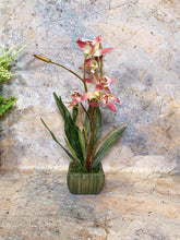 Charger l&#39;image dans la galerie, Elegant Artificial Orchids Display in 20 cm Tall Plant Pot - Lifelike Home Decor-OsirisTradingUK
