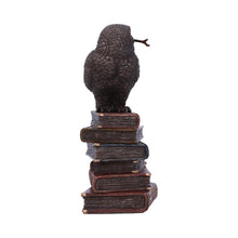 Load image into Gallery viewer, Bronze Spellcraft Witches Familiar Owl on Book Figurine
