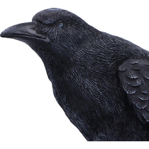 Gothic Raven Figurine Black Crow Resin Statue Dark Home Decor Altar Ornament 25cm