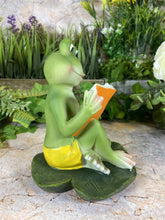 Load image into Gallery viewer, Hilarious Resin Frog Reading Book 15.5 cm Tall Garden Ornament Patio Decor-OsirisTradingUK
