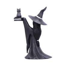 Load image into Gallery viewer, Little Souls Shimmer Witch Figurine Cat Spell book Gothic Altar Wiccan Art  Decor
