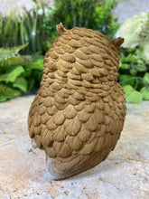 Load image into Gallery viewer, Hilarious Owl Resin Garden Ornament Home Decoration Lawn Decor-OsirisTradingUK
