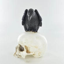 Load image into Gallery viewer, Raven on Skull Figurine | Gothic Resin Halloween Decor Pagan Altar
