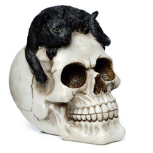 Load image into Gallery viewer, Witchcraft Black Cat on Skull Figurine Gothic Ornament Home Decor Resin Statue 14cm
