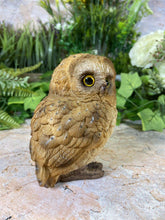Load image into Gallery viewer, Adorable Baby Owl Resin Garden Ornament Lawn Decoration Patio Decor-OsirisTradingUK
