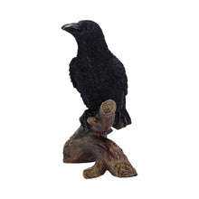 Load image into Gallery viewer, Raven Perched Gothic Figurine Witchy Wildlife Decor Mythical Bird Wiccan Statue
