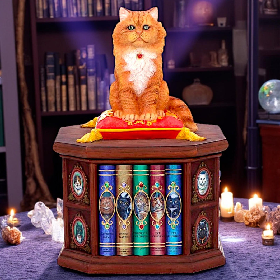 Mad About Cats Storage Box Bookcase Figurine Wiccan Alter Fantasy Ornament