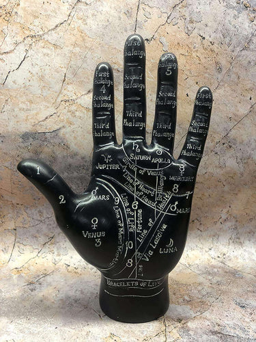 Black Palmistry Hand Standing Palm Reading Home Decor Spiritual Learning