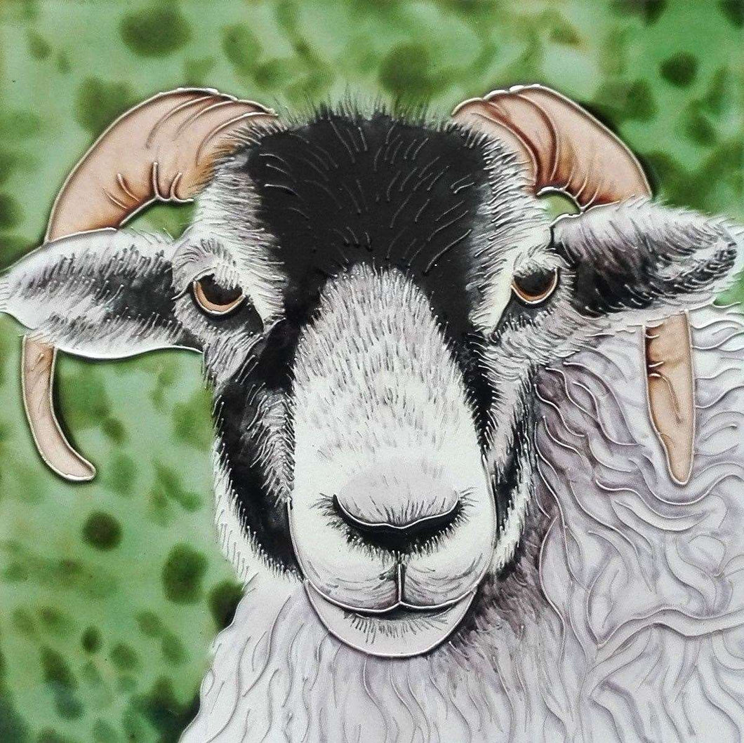 Black Faced Ram Decorative Ceramic Picture Tile 8x8