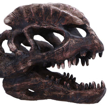 Laden Sie das Bild in den Galerie-Viewer, Dilophosaurus Dinosaur Skull Replica Realistic Resin Fossil Model Jurassic Fossil
