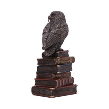 Load image into Gallery viewer, Bronze Spellcraft Witches Familiar Owl on Book Figurine
