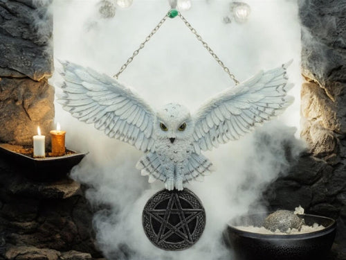 Mystical White Owl Pentacle Wall Hanging - Resin and Metal Gothic Decor, Wiccan Owl with Pentagram, Spiritual Pagan Wall Art, 26 x 21 cm-OsirisTradingUK