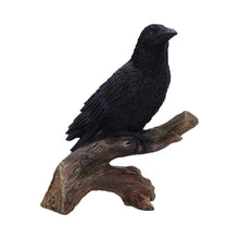 Load image into Gallery viewer, Raven Perched Gothic Figurine Witchy Wildlife Decor Mythical Bird Wiccan Statue
