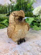 Load image into Gallery viewer, Hilarious Owl Resin Garden Ornament Home Decoration Lawn Decor-OsirisTradingUK
