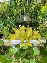 Load image into Gallery viewer, Ribbiting Frog Friends Shelf Sitter Figurine Handmade Resin Craft 17 cm-OsirisTradingUK
