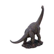 Load image into Gallery viewer, Realistic Brachiosaurus Figurine Dinosaur Fossil Themed Shelf Display Ornament
