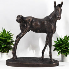 Charger l&#39;image dans la galerie, Graceful Foal Bronze Effect Sculpture | Horse Lover’s Collectible | 10 x 8.5 cm Resin Statue
